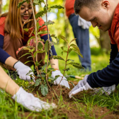 Team building, aanplanten, plantdag op school, bedrijfsgroen, bedrijfsnatuur, duurzaamheid, duurzaam groen