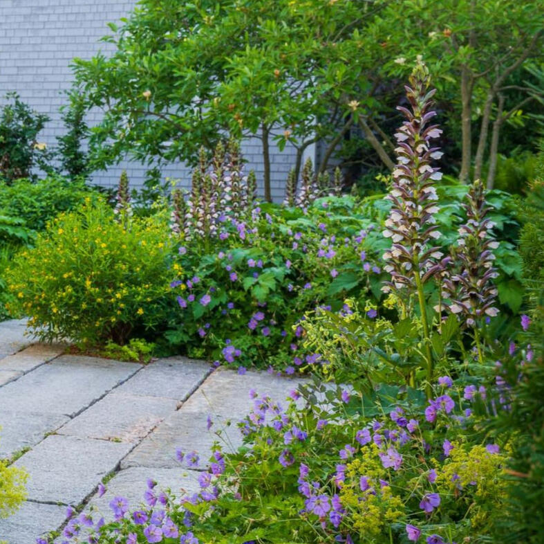 Rustige werkomgeving duurzaamheid op het werk, bomen aanplanten, natuur, rustige werknemers