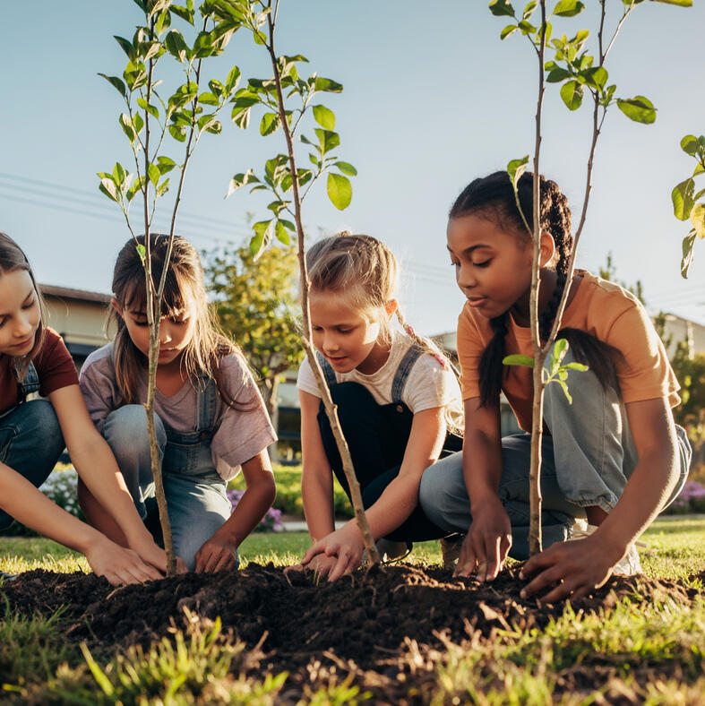 aanplanten van bomen, sponsoring duurzaamheid